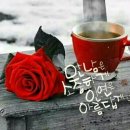 괄호를 치자 이미지