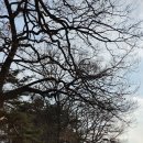 용담사입구화장실 이미지