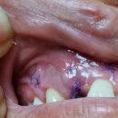 이노탑치과의원 이미지