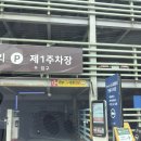 더만듦미어켓파크 | 대구동물원 아이랑가기좋은 네이처파크 입장권할인, 주차 후기