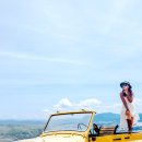 나트랑,달랏 3박 5일 여행 3일차.달랏 랑비앙고원,죽림사원,다딴라 폭포 이미지