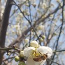 아지랑이 이미지