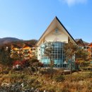 한화리조트 이미지