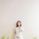 담장 아래 과꽃