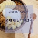 스윗펀치 | 건강한 다이어트식 요거트볼 찾는다면 광명 데일리앤그릭 추천 (애플펀치 후기)