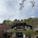 토담생고기 | 예천 맛집 어른들이 줄 서는 찐 맛집 '맛질예찬 토담' 본점! 2인 세트 가성비 세트 후기