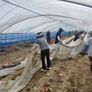 천안시농업기술센터소장 이미지