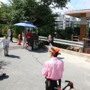 분도와안나 개미꽃동산 이미지