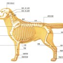에이알씨(주) 이미지