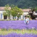 명식농장 이미지