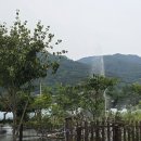 계정횟집 이미지