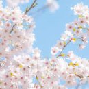 세인요양병원 이미지