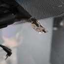 가나세차장 이미지