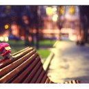 한솔센트럴파크 앞 이미지