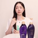 츠바키 헤어폴 퍼플샴푸 &amp; 트리트먼트 두피부터 모발관리 제대로 케어! 올리브영 추천템