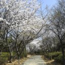 석남완충도시숲 이미지