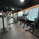 서문헬스 이미지