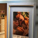 06-2-1 마카롱과 구움과자전문점과정 | 에뚜왈 가로수길마들렌맛집 프렌치 감성 가득한 구움과자 전문점