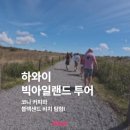 화산농장 | 하와이 빅아일랜드 하루 만에 돌아보기: 화산과 커피의 섬 단독투어 후기