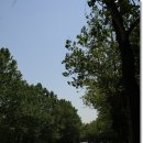 화랑로6 이미지