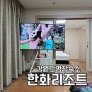 푸바오애견 이미지