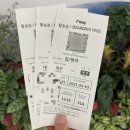 주식회사 오라렌트카 | 4월 당일치기 제주여행_편도 2500원 비행기 티켓 당일예매하고 다녀온 후기