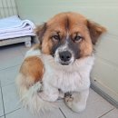 신광카서비스 이미지