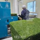 해품감태영어조합법인