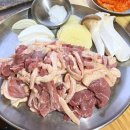 다모숲 이미지