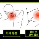 엠브이엠 이미지