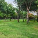 상관 파크골프장 이미지