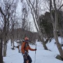 대피소 울릉 | 울릉도에서 스키 타고 설상 등반하기