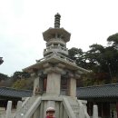 내일을향하여 | 경주 불국사
