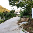 생태농원소향 이미지