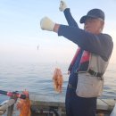 삼성호 민박 이미지