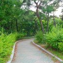 대구한의대학교박물관 이미지