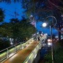 야옹아멍멍해봐(주월점) 이미지