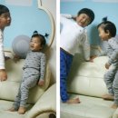 힘쎈호랑이 이미지