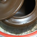 영천별빛굼벵이농장 이미지