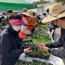 대불농장 이미지