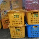 황금우농장 이미지