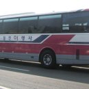 동천여행사 이미지