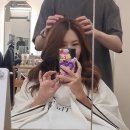 펌컷