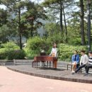 모차르트의밤 이미지