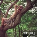 플립 이미지