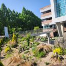 카페아리아 이미지