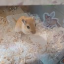 람지다 네이버블로그