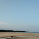 백사장해변 이미지