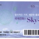 저렴한 요금으로 국내통화,국제통화는 물론 파격가격의 해외로밍까지 &#34;SKY-T&#34; 가 답입니다. 이미지