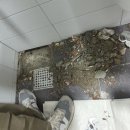 장수서창동-19 이미지